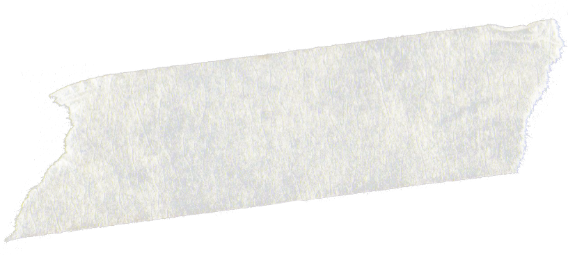 Tape Strip